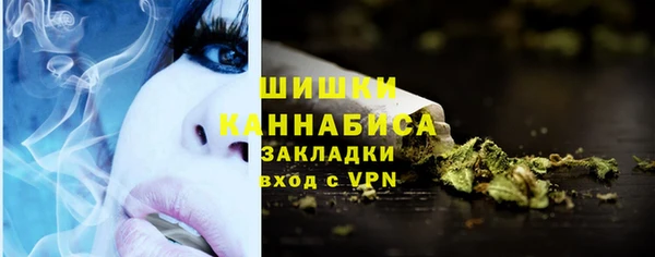 не бодяженный Шадринск