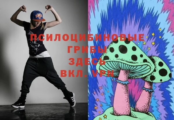 не бодяженный Шадринск