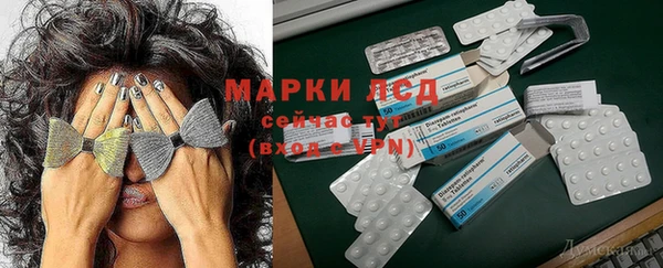 не бодяженный Шадринск