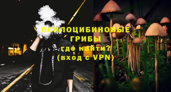 не бодяженный Шадринск