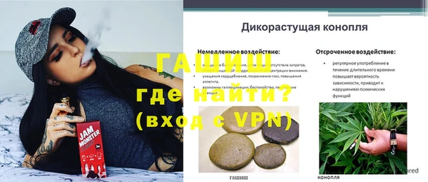 не бодяженный Шадринск