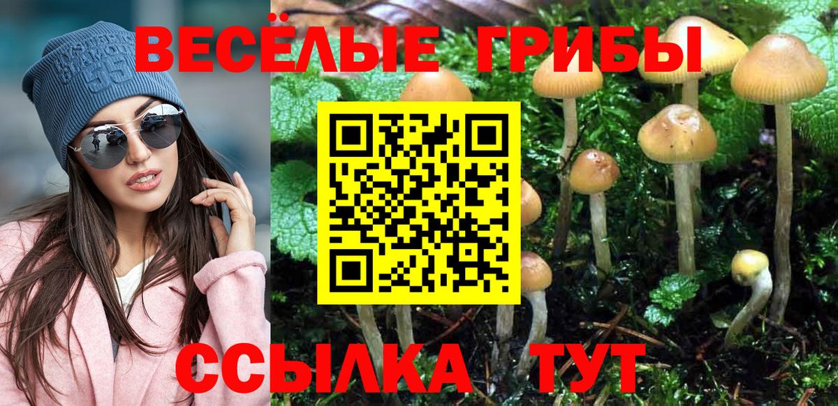 Волжск  купить наркотик  Вход с VPN  Псилоцибиновые грибы Cubensis 